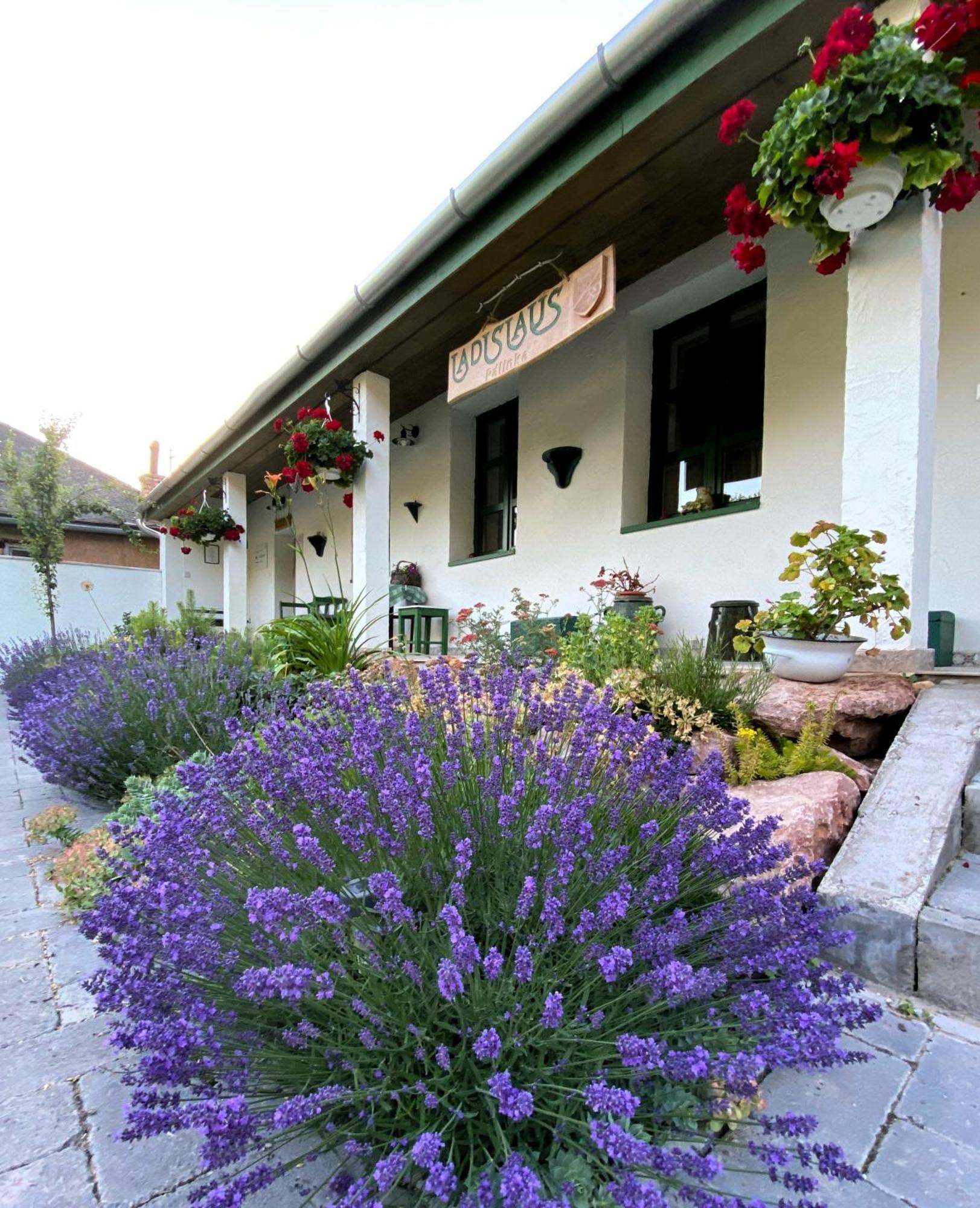 Ladislaus Schnaps-Haus Falusi Vendeghaz Csolnok Exterior photo